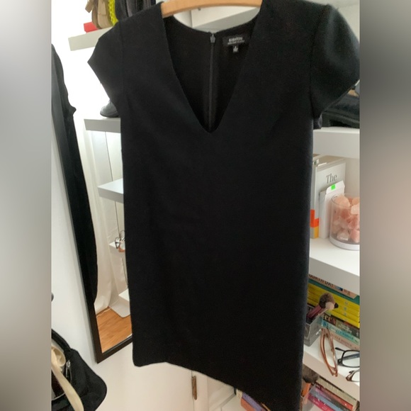 Aritzia Babaton Shift Mini Dress - Picture 7 of 7